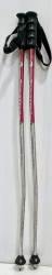 Lyžiarske palice Dynastar 100 cm; použité. 