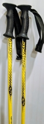 Lyžiarske palice Dynamic Physio 120 cm; použité. 