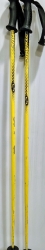 Lyžiarske palice Dynamic Physio 120 cm; použité. 