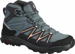 Dámska turistická obuv SALOMON DAINTREE MID GTX W 